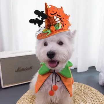 Halloween hats for clearance dogs