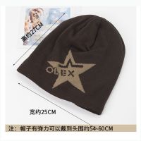 New female han edition tide add wool hat leisure warm winter knitting hat ear muffs baotou hat head cap