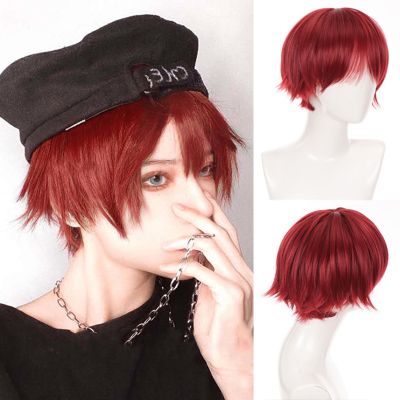 Ailiade Fashion 12 quot; Short Straight With Bangs Male Boy Synthetic Red Wigs For Women Men Cosplay Anime Costume Daily Party Wig