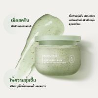 สครับผิว สครับตัวนุ่ม ขัดผิว อาโวคาโด เนื้อไอศกรีม250g กลิ่นหอม ดูแลร่างผิวกาย ผลัดเซลล์ผิวเก่าผิวขาว กระจ่างใส-1775