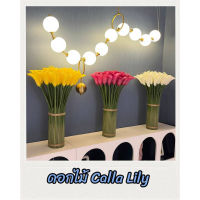 CT182E027 DECHOME ดอกไม้ Calla Lily ดอกไม้ปลอม ดอกไม้ตกแต่งโต๊ะ ดิกไม้ตกแต่งบ้าน