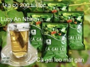 1Kg Trà Túi Lọc Ca Gai Leo Sadu Gồm 200 Túi Lọc Mát Gan I Giải độc Gan