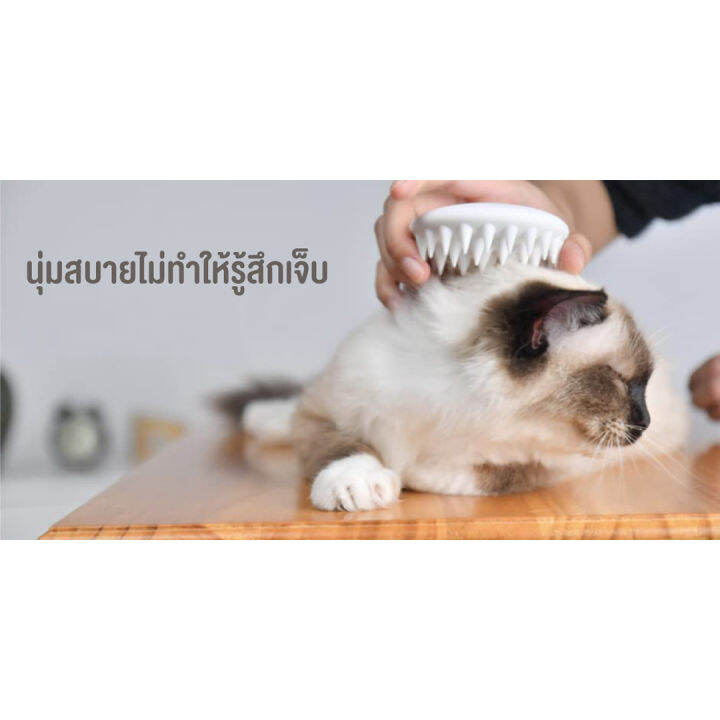 พร้อมส่ง-rabbit-selection-pet-petkit-everclean-pet-massage-comb-แปรงหวีขนแมว-แปรงขนแมว-หวีขนแมว-ที่แปรงขนแมว-มีให้เลือก-2-สี