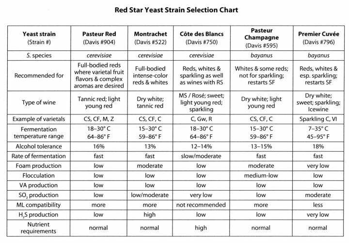 ยีสต์หมักไวน์-red-star-premier-cuvee-ซองสีน้ำเงิน