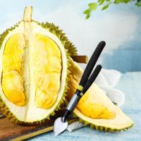 Practical Durian Opener Fruit Shell Clip for Fruits Shop Camping Household Graters  Peelers Slicers
