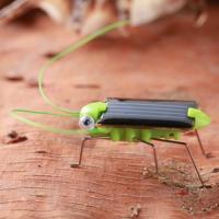 【CC】∏❅⊕  grasshopper Educational Powered Grasshopper required solar toys No batteries for kids