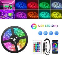 WIFI 5050 RGB Bluetooth Led Strip Lights 1M-30M 5V USB led strip TV BackLight Room Decoration Led Tape Diode Flexible Ribbon