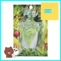 เมล็ดพันธุ์ผักกาดขาว กรีน การ์เด้นCHINESE WHITE CABBAGE SEED GREEN GARDEN **บริการเก็บเงินปลายทาง**