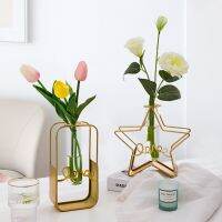 Metal Wrought Iron Glass Vase Nordic Minimalist Hydroponic Flower Arrangement Flower Vase Living Room Desktop Decoration