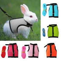 Pet Mesh Soft Harness With Leash Traction Rope Small Animal Vest for Rabbit Guinea Pig Hamster Chest Strap Set Pet Accessories Leashes