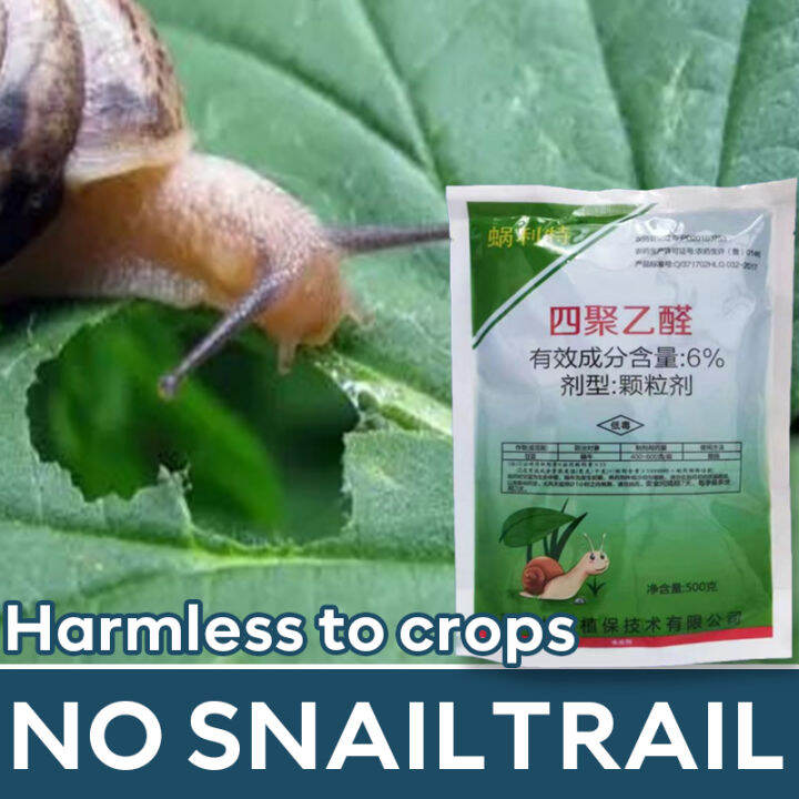 IC 🐌professional snail kill🐌racun siput babi snail killer Contains 6