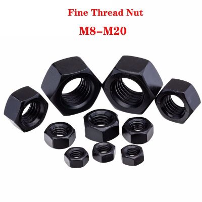 Fine Thread Hex Hexagon Nut M8x1 M10x1 M10x1.25 M12x1 M12x1.25 M12x1.5 M14x1.5 M16x1.5 M18x1.5 M20x1.5 Black Carbon Steel Nuts Nails Screws Fasteners