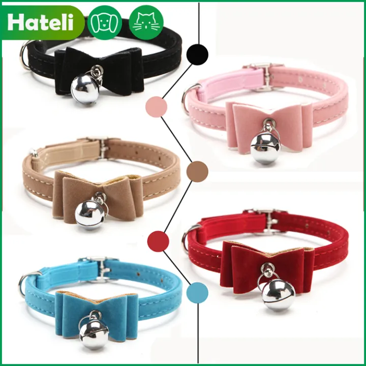 can cats wear small dog collars