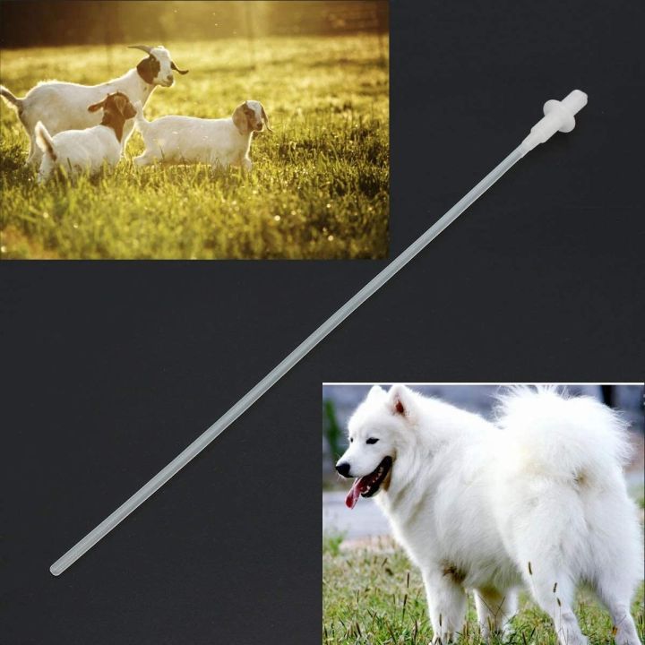 ฟรีไซริงค์-5-มล-หลอดผสมเทียมสุนัข-แพะ-สัตว์ขนาดเล็ก-ผสมเทียม-อุปกรณ์ผสมเทียม-ยืดหยุ่นดี-แพ็ค-10-ชิ้น