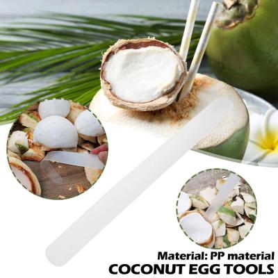 Coconut Meat Scraper Plastic Coconut Meat Remover Digging Egg Soft Tools Extractor Coconut V2R7