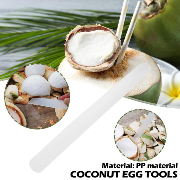 coconut-meat-scraper-plastic-coconut-meat-remover-digging-egg-soft-tools-extractor-coconut-v2r7