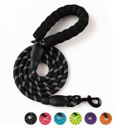 Nylon Dog Training Leash Long Webbing Recall Lead Line Pet Traction Rope for Teaching Camping Backyard Accesorios Para Perros