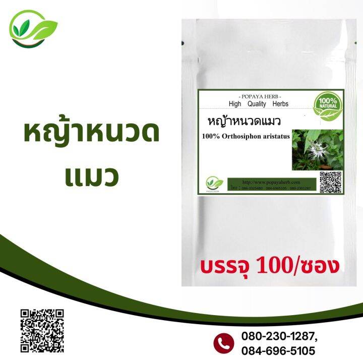 สมุนไพรหญ้าแมวผง 100 แคปซูล(Java Tea 100) Lazada.co.th