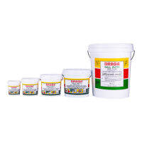 สีโป๊วปูน DRAGA WALL PUTTY D917 0.5KG ขาว