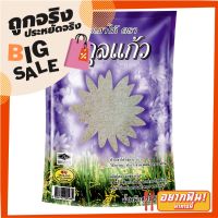 ?ยอดนิยม!! พิกุลแก้ว ข้าวขาวเสาไห้ 100% 5 กิโลกรัม Pikul Khaw White Rice 100% 5 kg ✨นาทีทอง✨