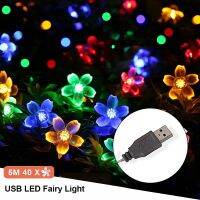 【❈】 pkdibm 5M 40 Led ไฟประดับ USB กลางแจ้ง/ในร่ม Street Garland คริสต์มาส/ปีใหม่ Xmas Festoon สายหลอดไฟ LED สำหรับตกแต่งบ้าน