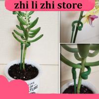 zhilizhi Store 5pcs Plastic Plant Supports Flower orchid Stand Holder Bracket Reusable Protection Fixing Tools Gardening Supplies