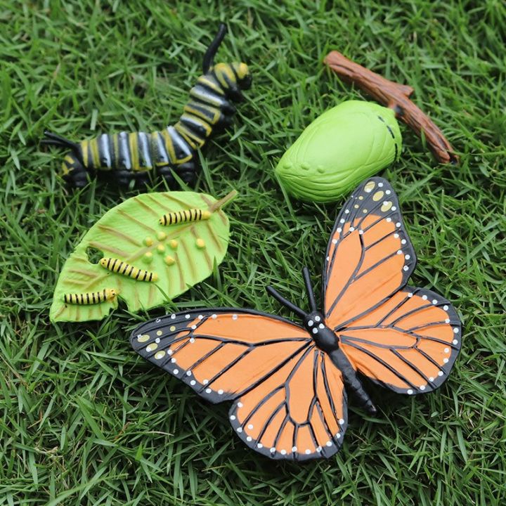 zzooi-new-simulation-oceans-animal-insect-life-cycle-butterfly-snail-penguin-action-figures-collection-science-educational-toys-kids