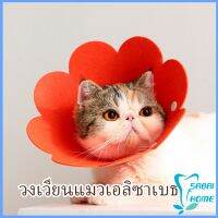 ปลอกคอดอกไม้ คอลล่าแมว ปลอกคอกันเลีย คอลล่าสุนัข Cat coll