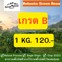 สารกาแฟโรบัสต้าทุ่งสง เกรด บี 1Kg.