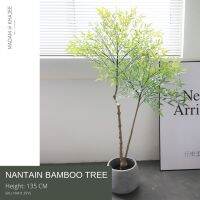 ต้นไผ่สวรรค์ - Nantain Bamboo Tree 135-165CM ต้นไม้ปลอมเกรดพรีเมี่ยมเพื่อการตกแต่ง ต้นไม้ประดิษฐ์ สไตล์ลอฟ โมเดิร์น มินิมอล Premium Artificial Plant by Madam Khajee