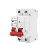 2P DC 1000V Mini Circuit Breaker 6A/10A/16A/20A/25A/32A/40A/50A/63A DC MCB สำหรับระบบ PV-WIOJ SHOP