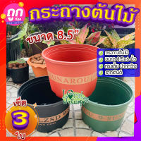 กระถางต้นไม้ 8.5 นิ้ว (เซ็ต 3 ใบ) ? กระถางบอนสี กระถางแคคตัส กระถางพลาสติก กระถางญี่ปุ่น ทรงสวย รากเดินดี?