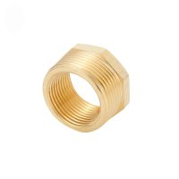 Brass Reducer Male Thread to Female Thread Reducing Bush adapter Fitting Gas Air Water Fuel Copper