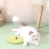 【JCHEN pet supplie】กระดานขูด SpringCat BallPet Cat Training Interactive CatFor Kitten PetFor All Cats Pet Supplies