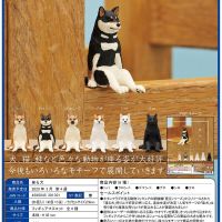 Japanese KITAN Capsule Toys Gashapon Shiba Inu Dog Animal Decoration Sitting Weird Position Dog Collection Gift