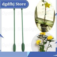 Dgdfhj Shop Plastic Plant Supports Flower Stand Reusable Protection Fixing Tool Gardening Supplies For Vegetable Holder Bracket