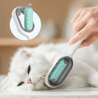 Cleaning Comb Cats Dogs Sided Hair Removal With No-wash Wipes Massage Supplies