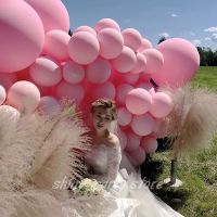 5-36inch Pink Macaroon Balloons Birthday Party Decoration Baby Shower Christmas Wedding DIY Background Decor Helium Balloon