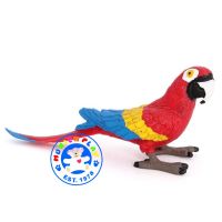 Munich Play - โมเดล Parrot นกแก้ว แดง ขนาด 10.50 CM (จากหาดใหญ่)