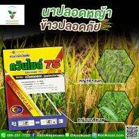 กำจัดหญ้า ควินไซด์ 100 กรัม หญ้าข้าวนก ลิเก หญ้าดอกขาว หญ้าแดง คลูเกษตร KP2