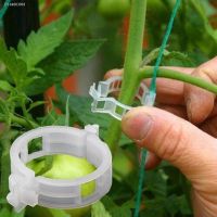 ♞卍◐ 100pcs Tomato Holder Applicator Vegetable Melon Plant Buckle Plant Clip Plastic Tie Folder Flexibility Not Hurting Seedlings