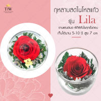 กุหลาบในโหลแก้ว สีแดง แก้วไลล่า ดอกกุหลาบ 1 ดอก Preserved Rose ของขวัญวันเกิด ดอกไม้ประดิษฐ์ ของขวัญให้แฟน กุหลาบดอกใหญ่