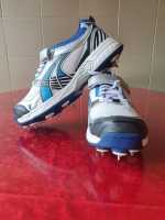 Cricket spike shoes Adult