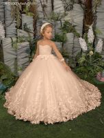 ┇◊ ivhefd Flor champanhe menina vestido com apliques de renda manga comprida baile personalizar primeira comunhão casamento aniversário