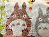 35เซนติเมตร * 80เซนติเมตรน่ารัก TOTORO ผ้าขนหนูเด็กการ์ตูนเด็กใบหน้าผ้าเช็ดมือผ้าขนหนูอาบน้ำชุดแฟชั่นบ้าน Textileshot