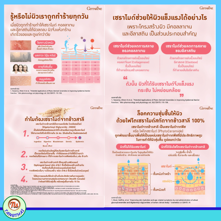 กิฟฟารีน-วีท-เซราไมด์-พลัส-คอลาเจนจากธรรมชาติ-เซราไมด์-จากข้าวสาลี-น้ำมันมะกอก-วิตามินอี-เซราไมด์จากพืช-ceramide-giffarine-ส่งฟรี