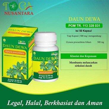 Obat Pencegah Kanker Kapsul Daun Dewa (Sambung Nyawa / Nyowo) - 50 ...