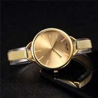 Womens Watch Luxury Brand Gold Watch Lady Bracelet Geneva Quartz Watch Women Stainless Steel Clock Hodinky Relogio Feminino