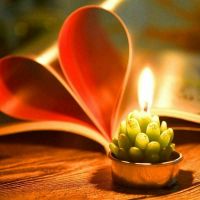 12pcs Artificial Succulent Plants Cactus Candle For Family Decoration Birthday Party Wedding Site Decor Candlelight Feast Home M