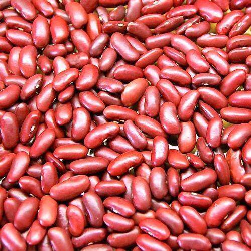 natural-amp-premium-n-amp-p-organic-ถั่วแดง-ออร์แกนิค-organic-red-kidney-beans-300g